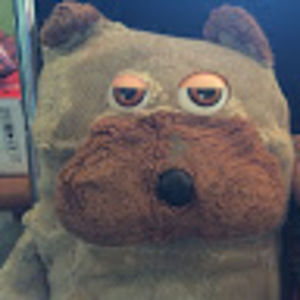 Meet your Posher, Nadiya